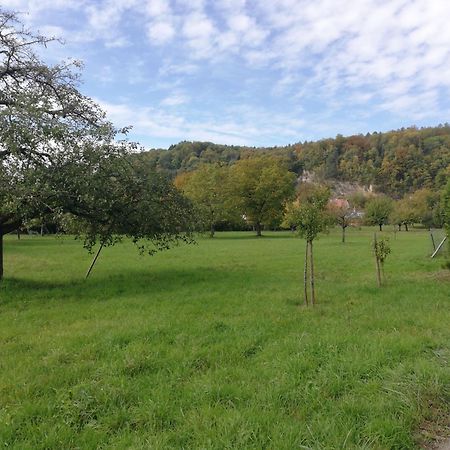 Ferienwohnung Am Bach Rheinfelden  Eksteriør billede